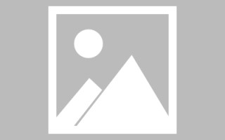 莘县论文网站建设（网站建设的论文）